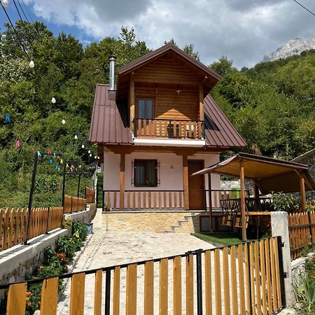 Guest House Shtepiza テス エクステリア 写真