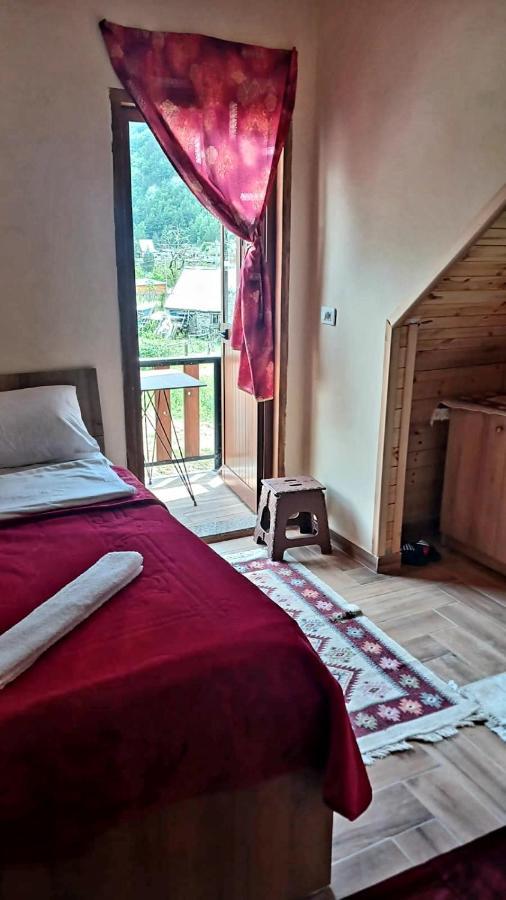 Guest House Shtepiza テス エクステリア 写真